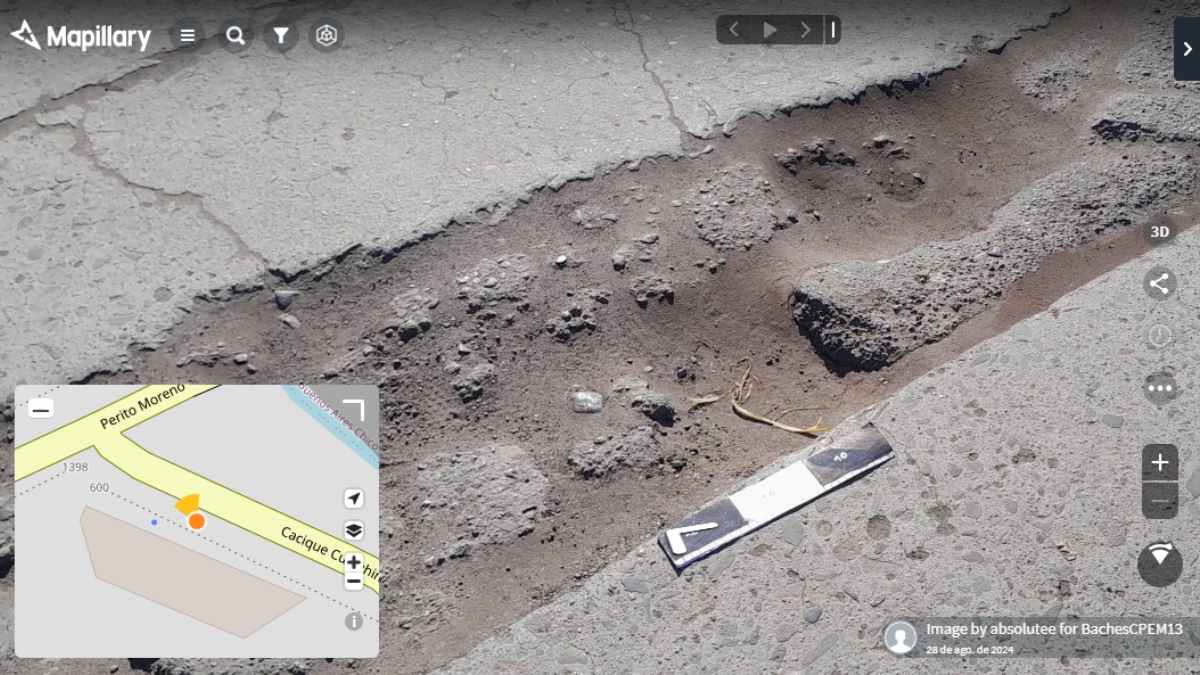 Bache.jpg